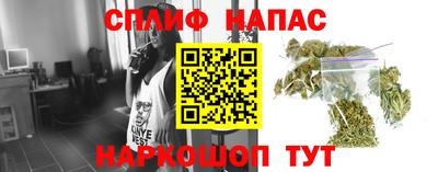 jwh Камышлов
