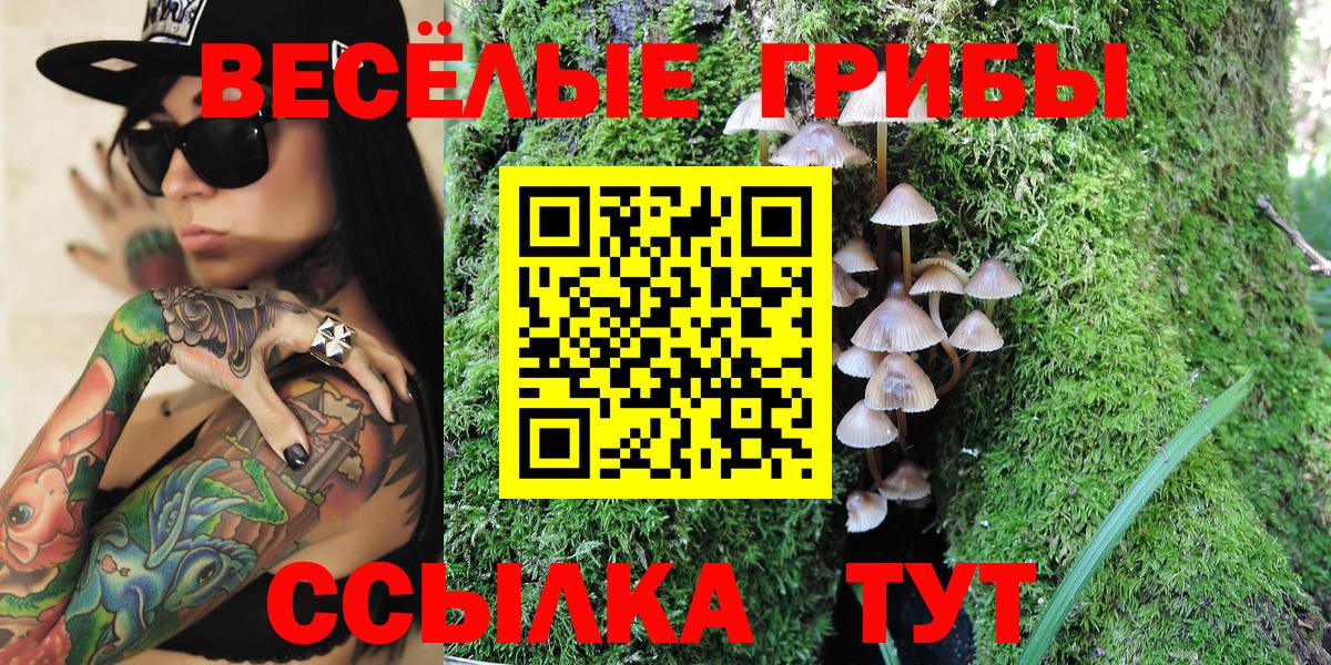 Псилоцибиновые грибы Psilocybine cubensis  купить наркотик  Нижний Новгород  Вход с VPN  Псилоцибиновые грибы Psilocybine cubensis 