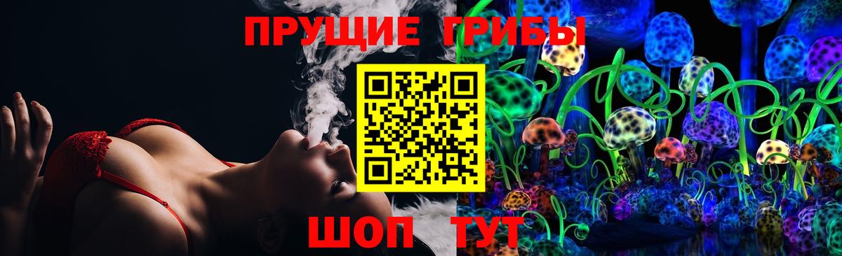 Галлюциногенные грибы Psilocybe Нижний Новгород